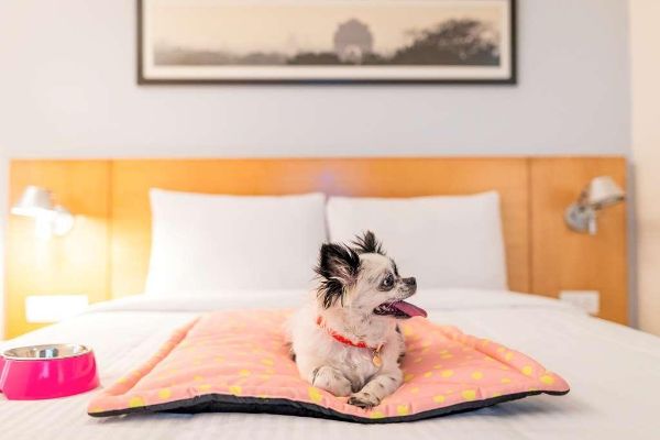 Hotel ibis Coimbatore City Centre